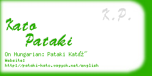 kato pataki business card
